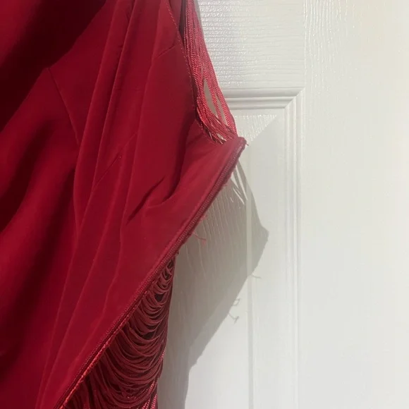 Zara Fringe Dress - Picture 7 of 9